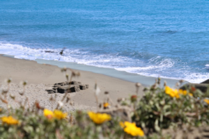 Atico_del_Sol_Torrox_Costa_Calaceite